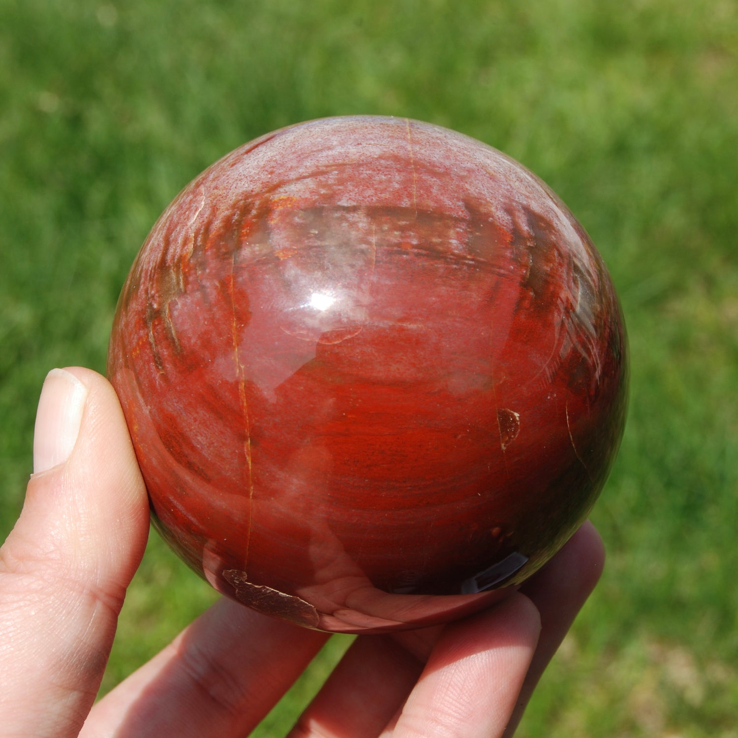 Colorful Petrified Wood Crystal Sphere