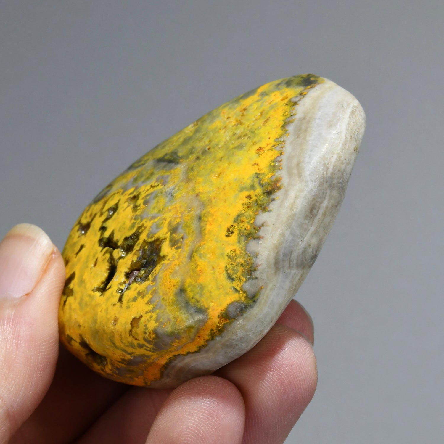 Bumblebee Jasper Crystal Palm Stone