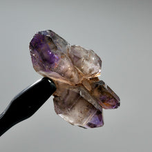 Load image into Gallery viewer, DT ET Elestial Shangaan Amethyst Quartz Crystal Scepter
