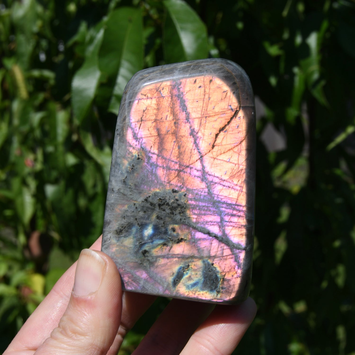 Purple Labradorite Crystal Freeform