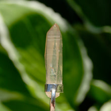 Load image into Gallery viewer, Fire Lemurian Seed Quartz Crystal Starbrary Pendant for Necklace

