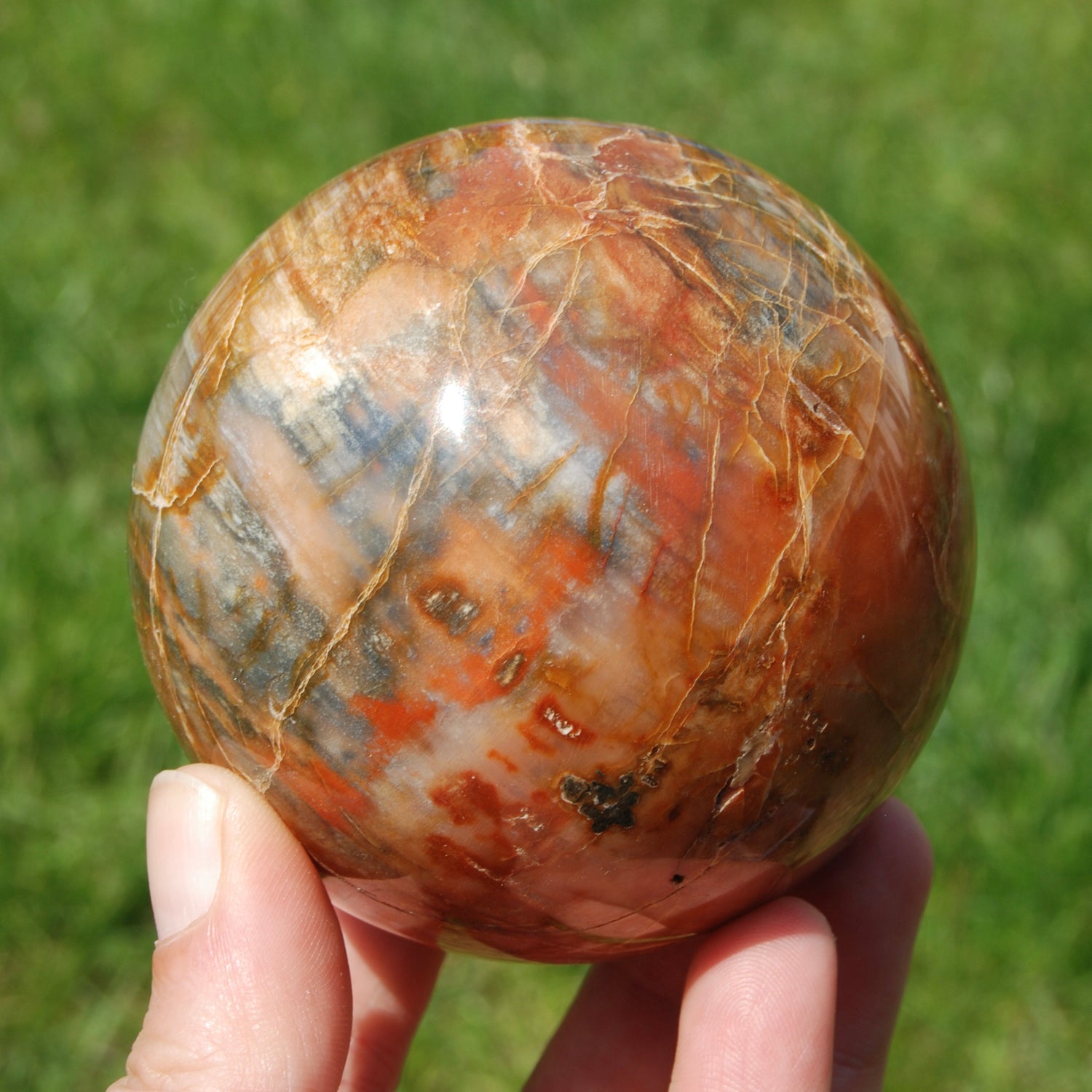 Petrified Wood Crystal Sphere