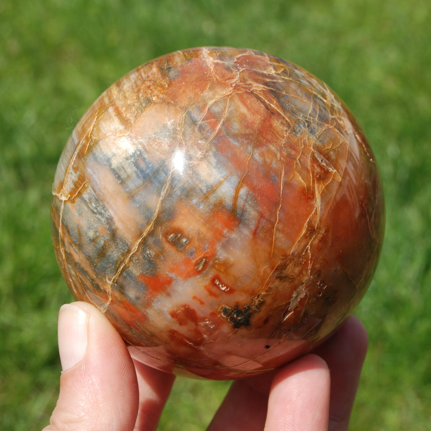 Petrified Wood Crystal Sphere