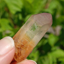 Load image into Gallery viewer, Pink Lithium Scarlet Temple Lemurian Quartz Crystal Starbrary
