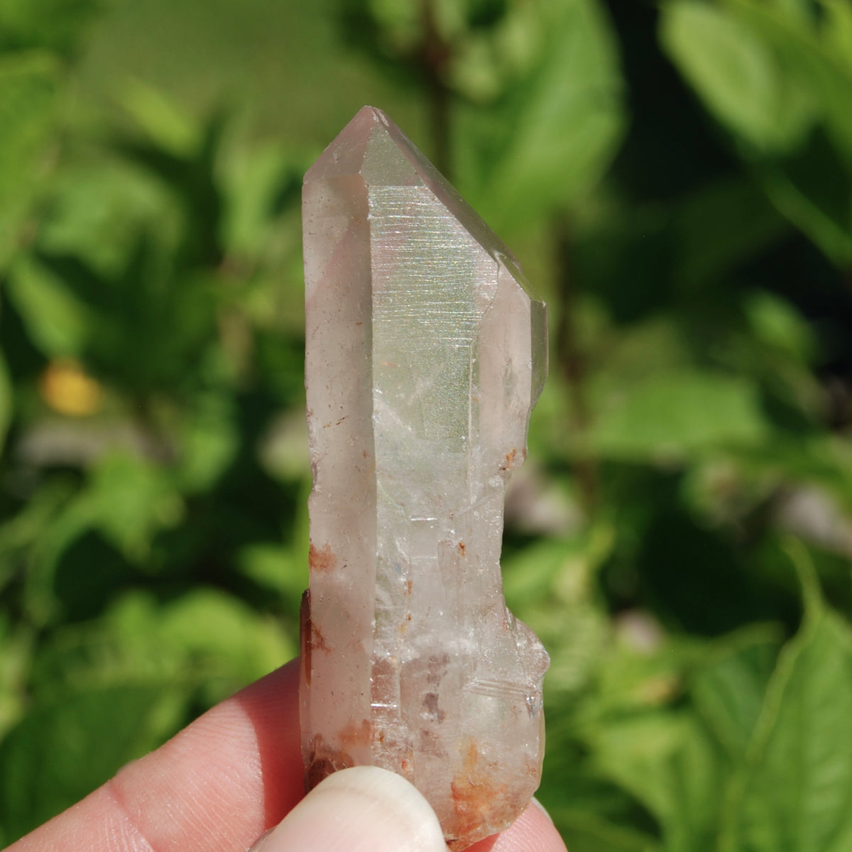 DT Hematoid Pink Lithium Lemurian Quartz Crystal Starbrary