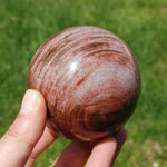 Colorful Petrified Wood Crystal Sphere