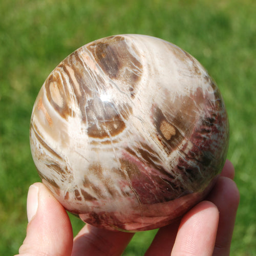 Colorful Petrified Wood Crystal Sphere