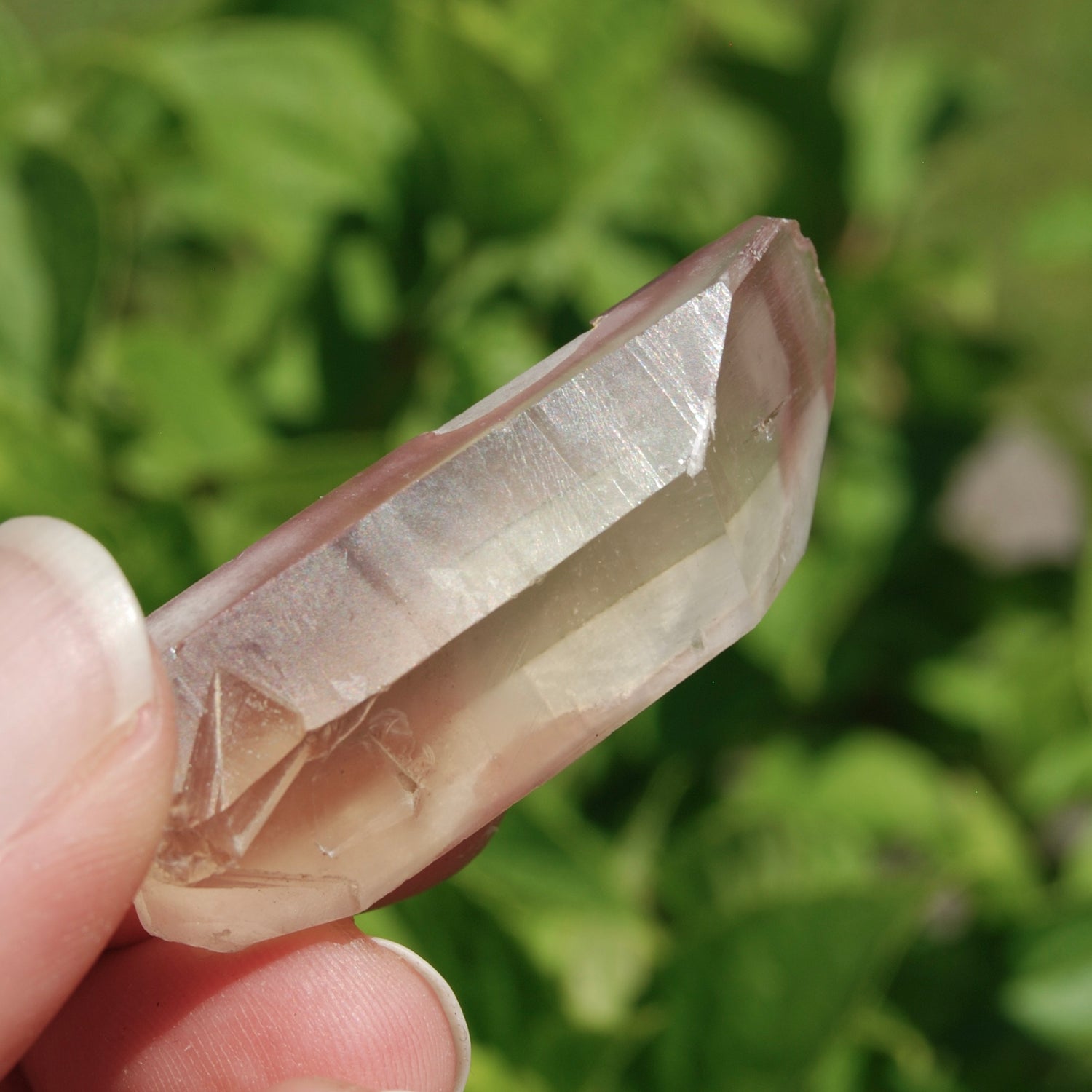 Pink Lithium Lemurian Quartz Crystal 