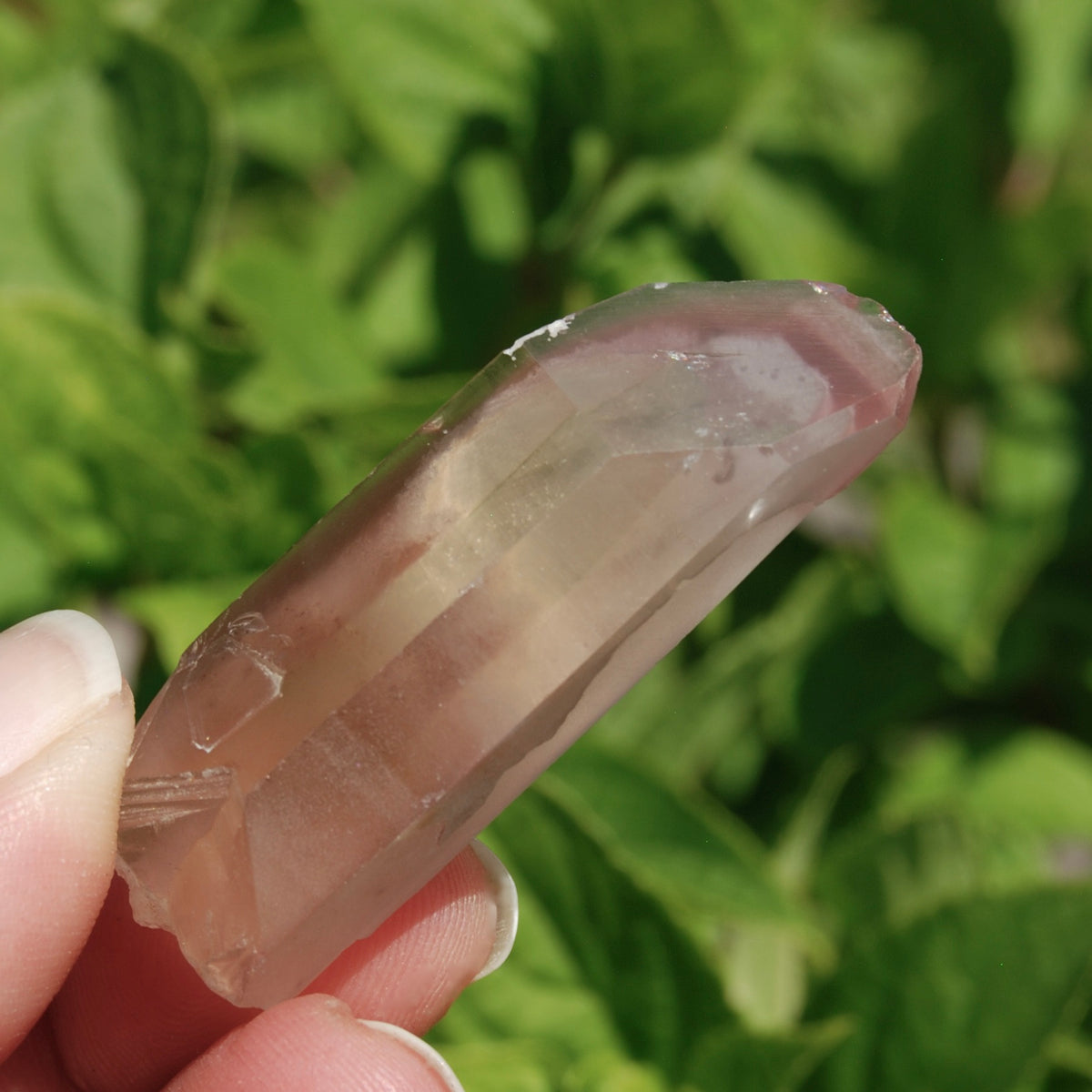 Pink Lithium Lemurian Quartz Crystal 