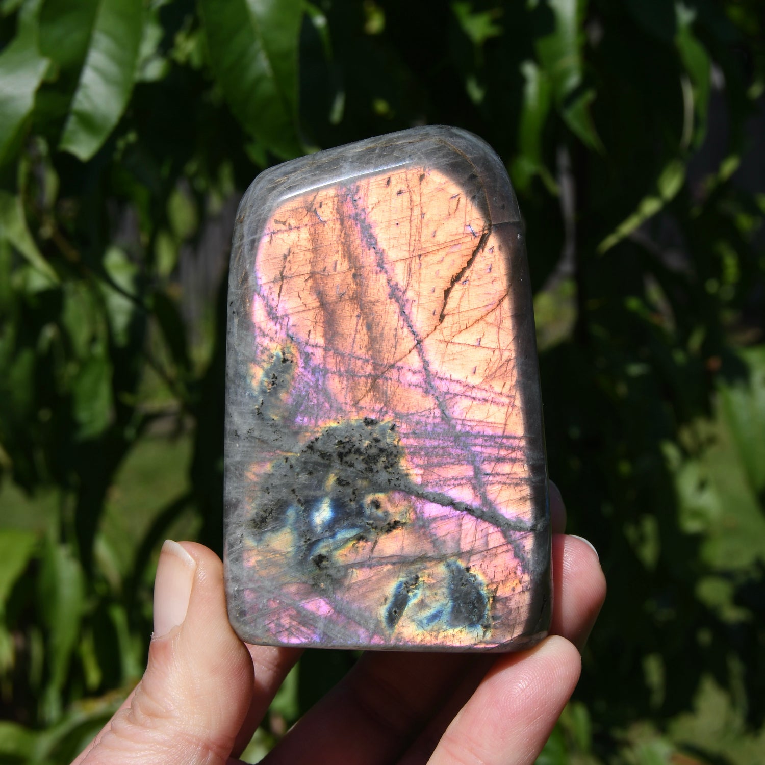 Purple Labradorite Crystal Freeform