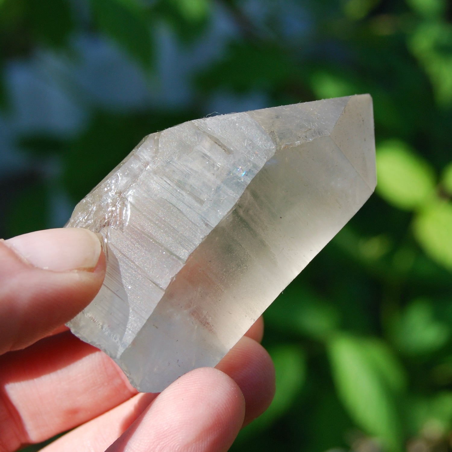 Smoky Lemurian Seed Quartz Crystal Starbrary