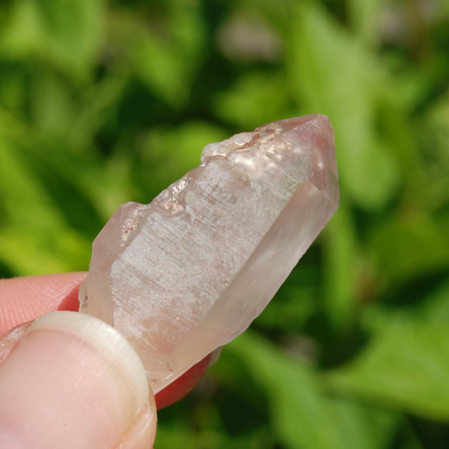 Pink Lithium Lemurian Quartz Crystal Starbrary