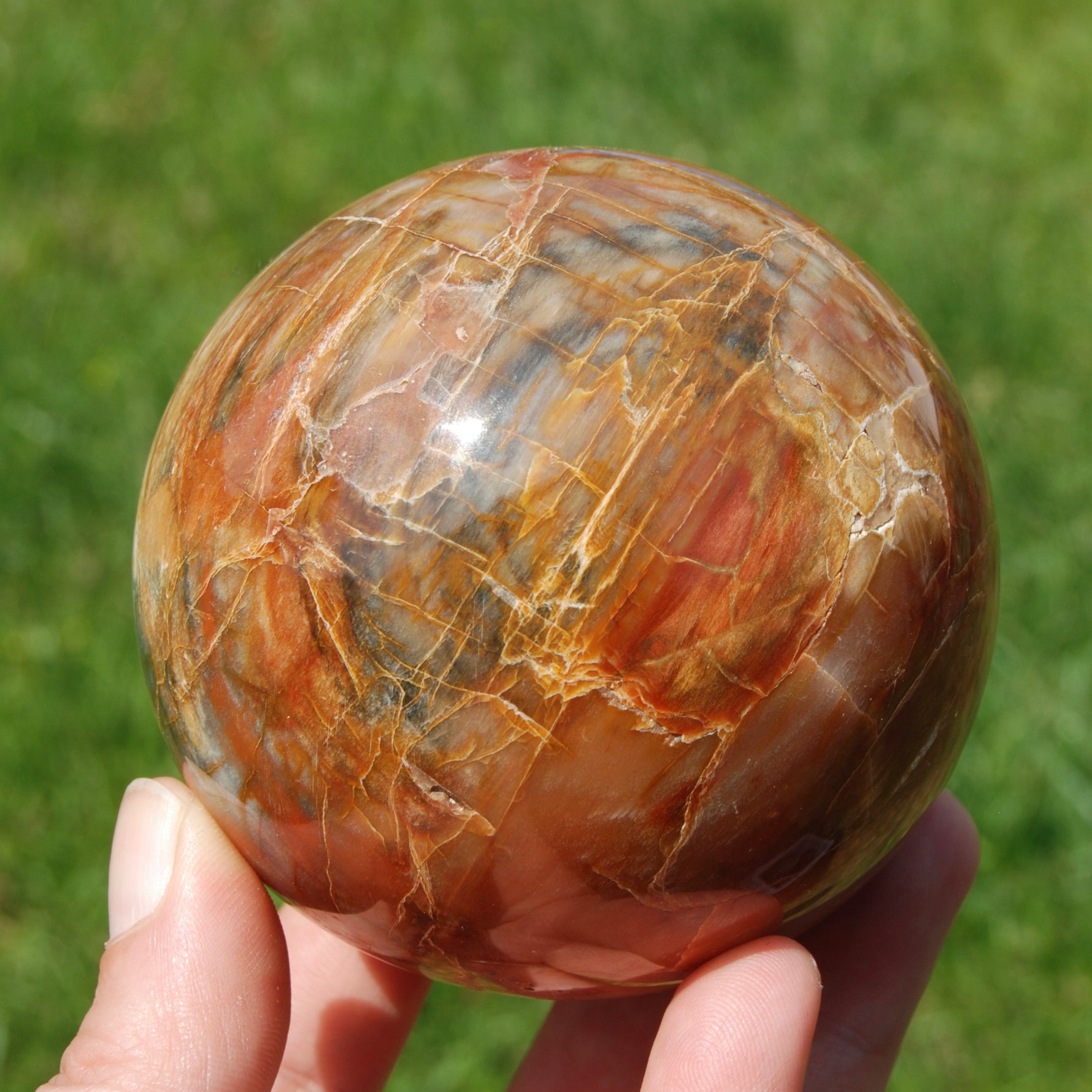 Petrified Wood Crystal Sphere