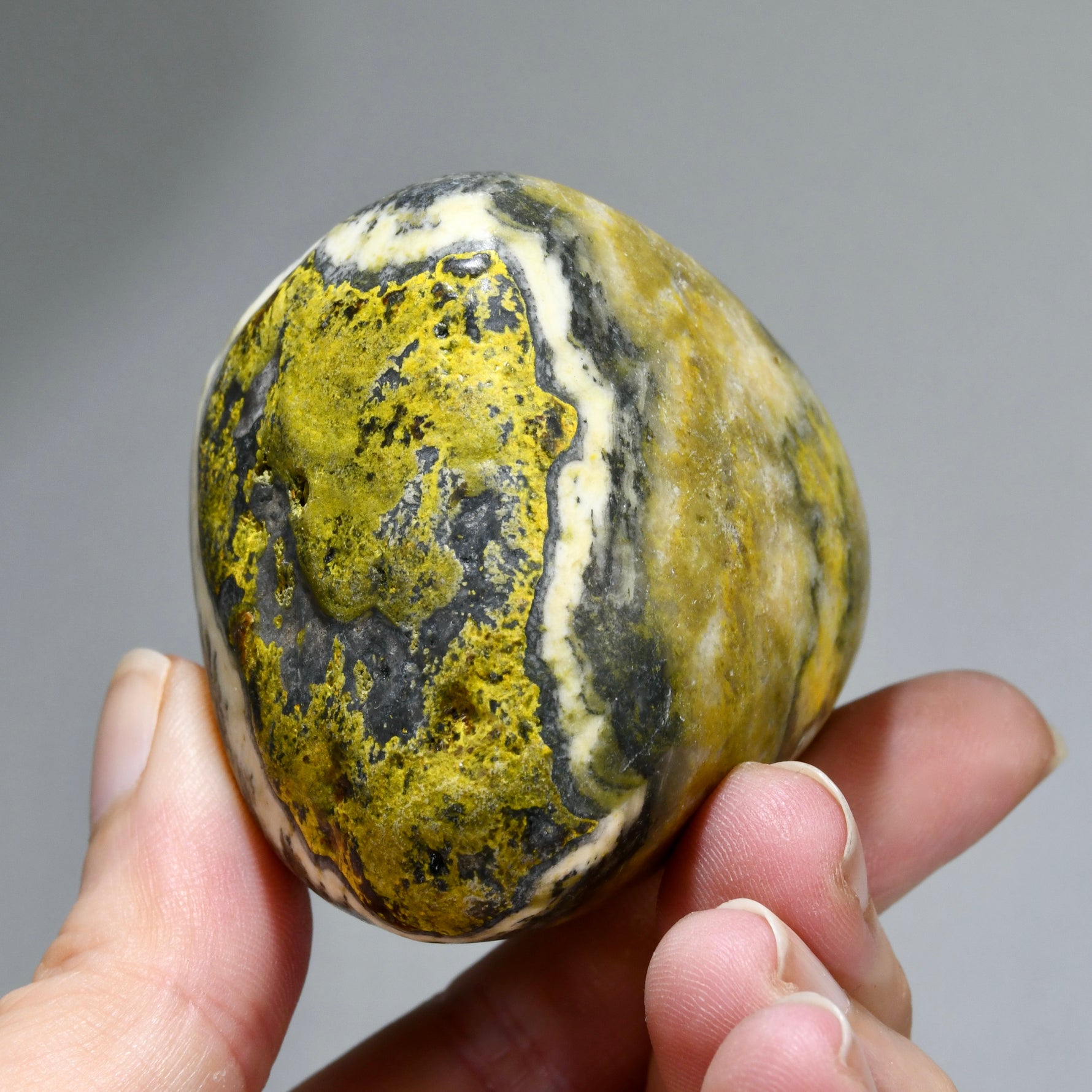 Bumblebee Jasper Crystal Palm Stone, Indonesia