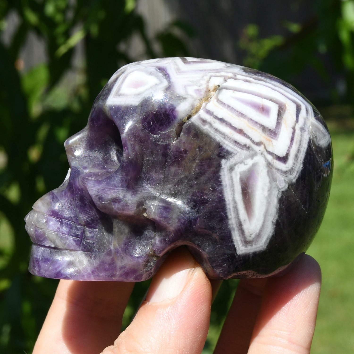 Chevron Dream Amethyst Crystal Skull