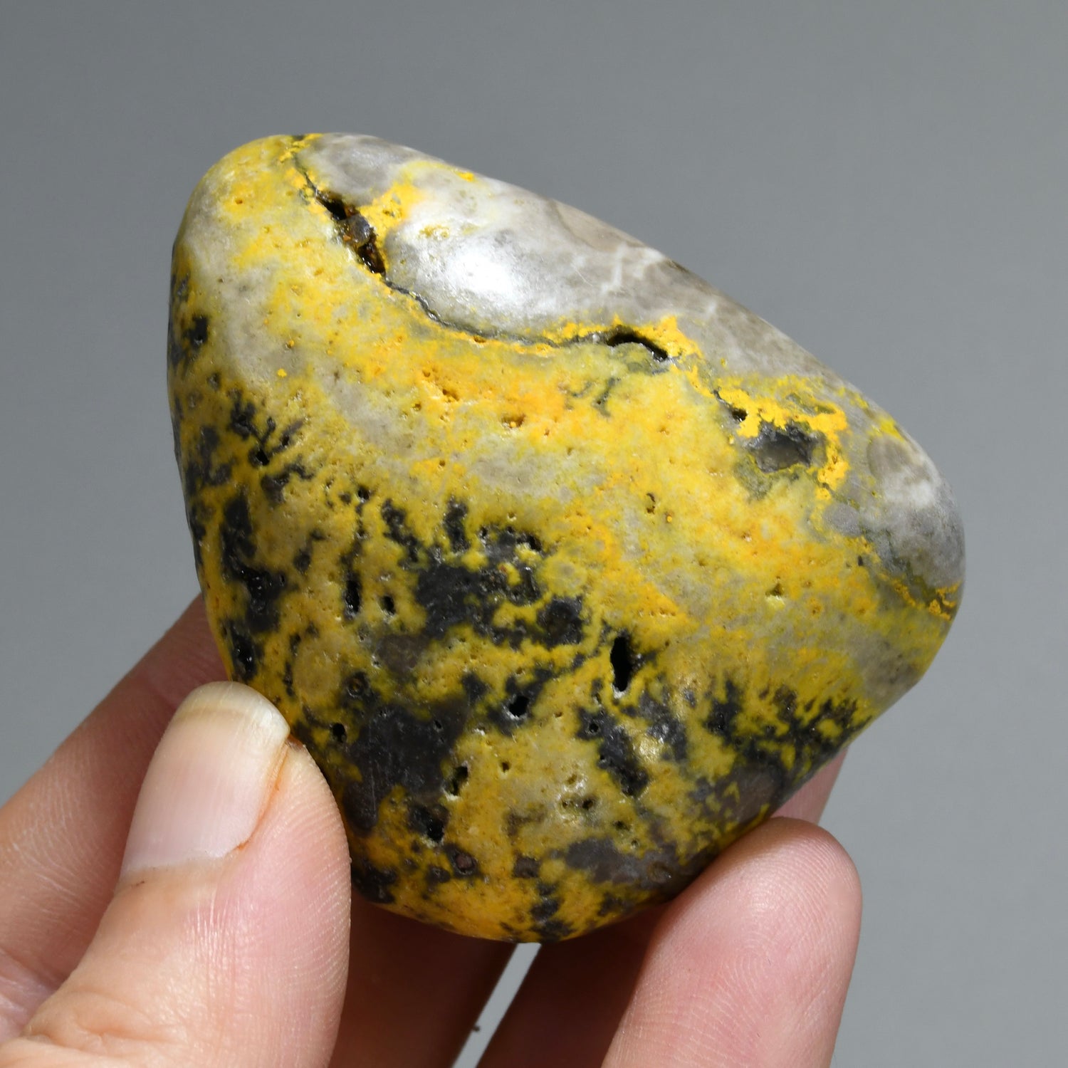 Bumblebee Jasper Crystal Palm Stone