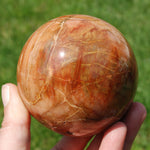 Petrified Wood Crystal Sphere