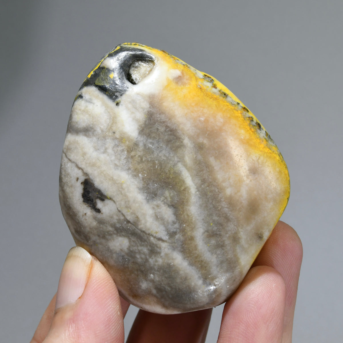 Bumblebee Jasper Crystal Palm Stone