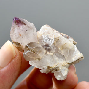 Shangaan Amethyst Quartz Crystal Scepter Cluster