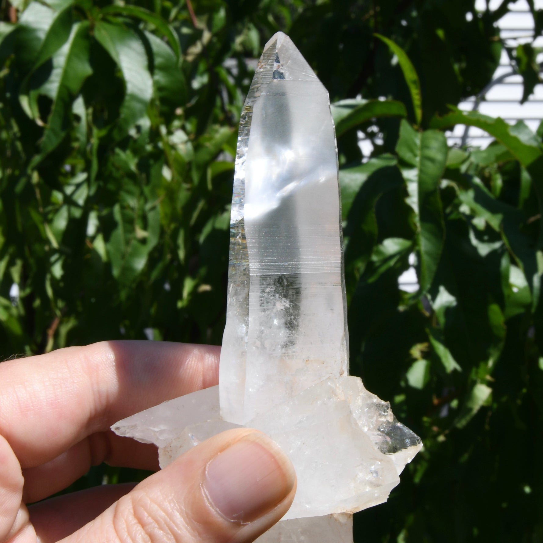 Rare Cross Colombian Lemurian Seed Quartz Crystal Laser Starbrary