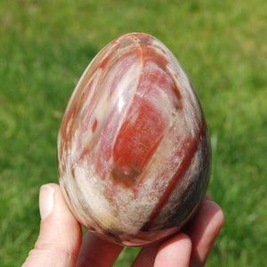 Red Petrified Wood Egg, Madagascar