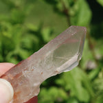 DT Hematoid Pink Lithium Lemurian Quartz Crystal Starbrary