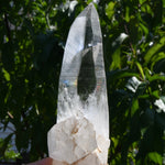 Rare Cross Colombian Lemurian Seed Quartz Crystal Laser Starbrary, Boyaca