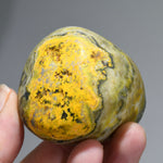 Bumblebee Jasper Crystal Palm Stone, Indonesia