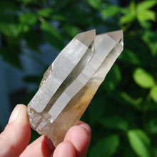 Load image into Gallery viewer, Pink Shadow Smoky Lemurian Seed Quartz Crystal,
