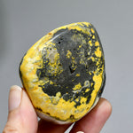 Bumblebee Jasper Crystal Palm Stone