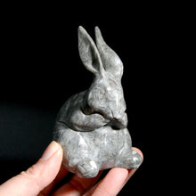 Load image into Gallery viewer, Grey Jade Rabbit Crystal Carving
