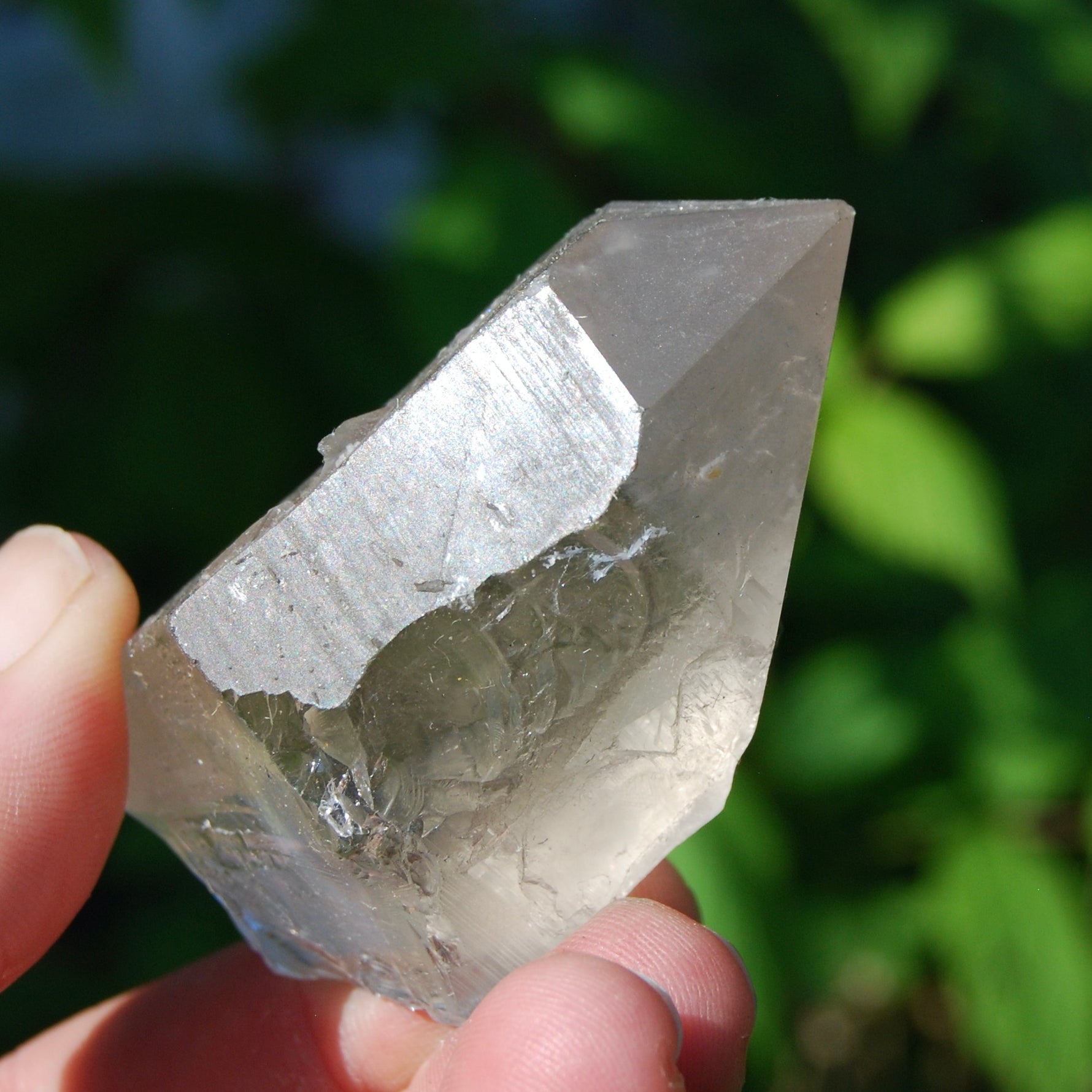 Smoky Lemurian Seed Quartz Crystal Starbrary