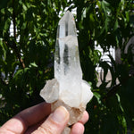 Rare Cross Colombian Lemurian Seed Quartz Crystal Laser Starbrary