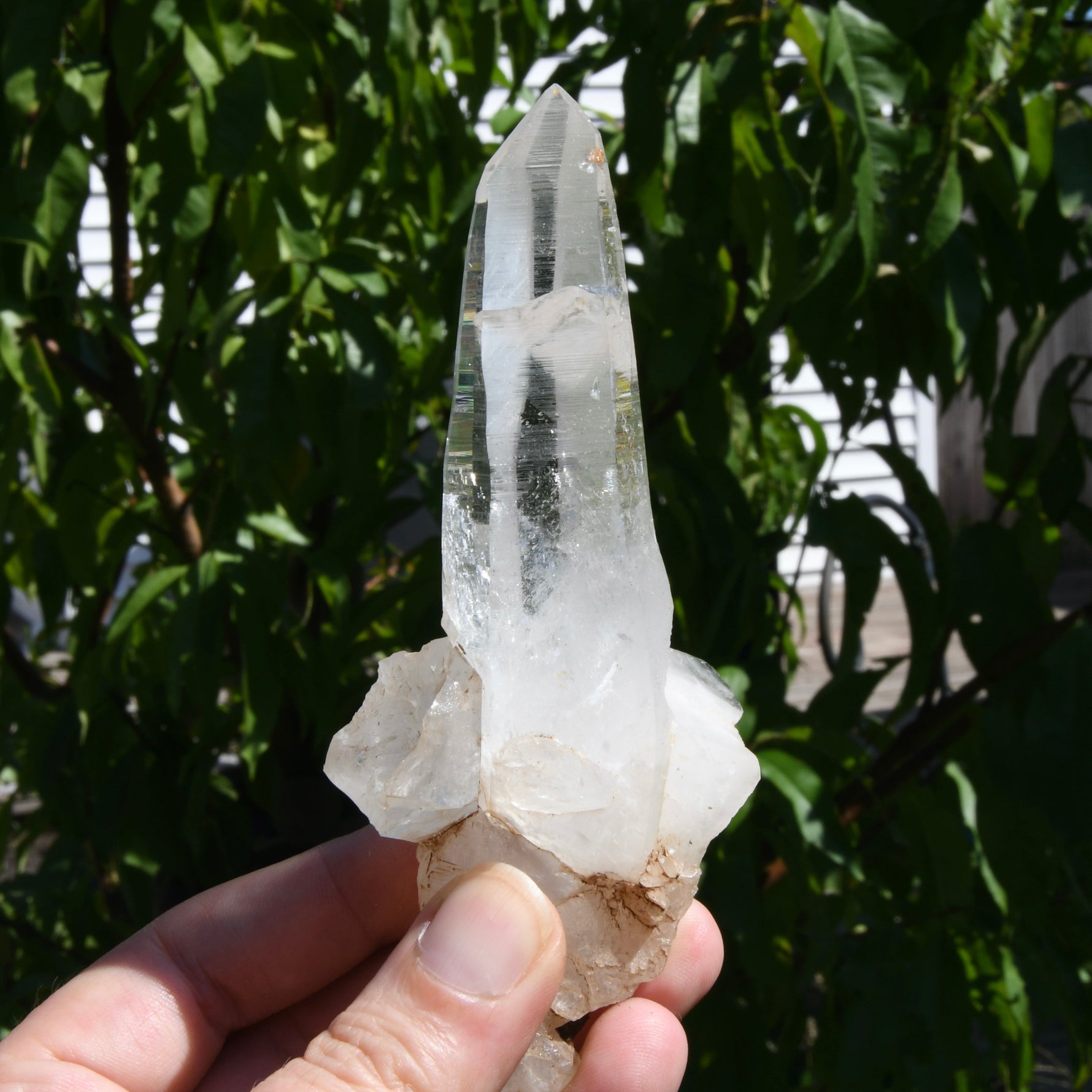 Rare Cross Colombian Lemurian Seed Quartz Crystal Laser Starbrary