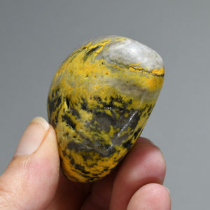 Bumblebee Jasper Crystal Palm Stone