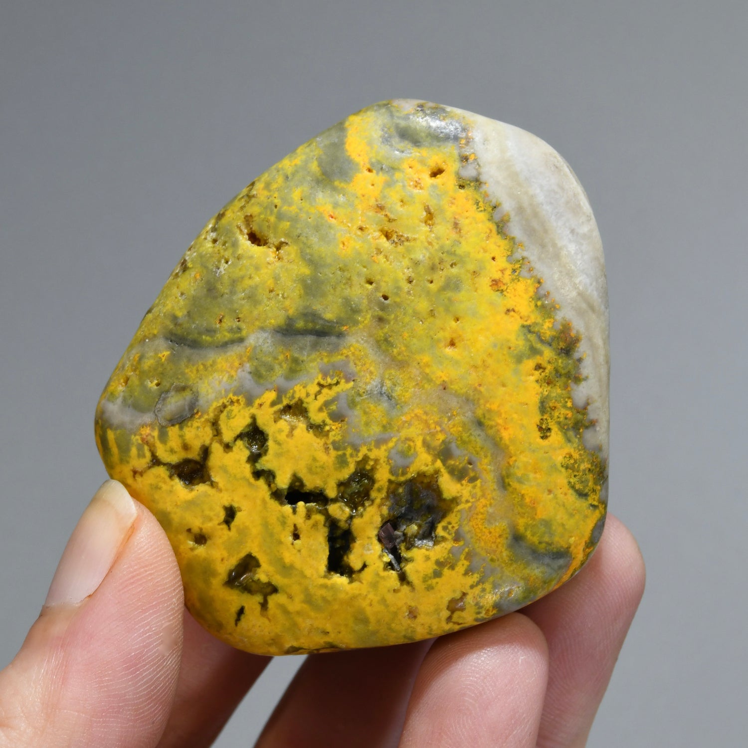 Bumblebee Jasper Crystal Palm Stone