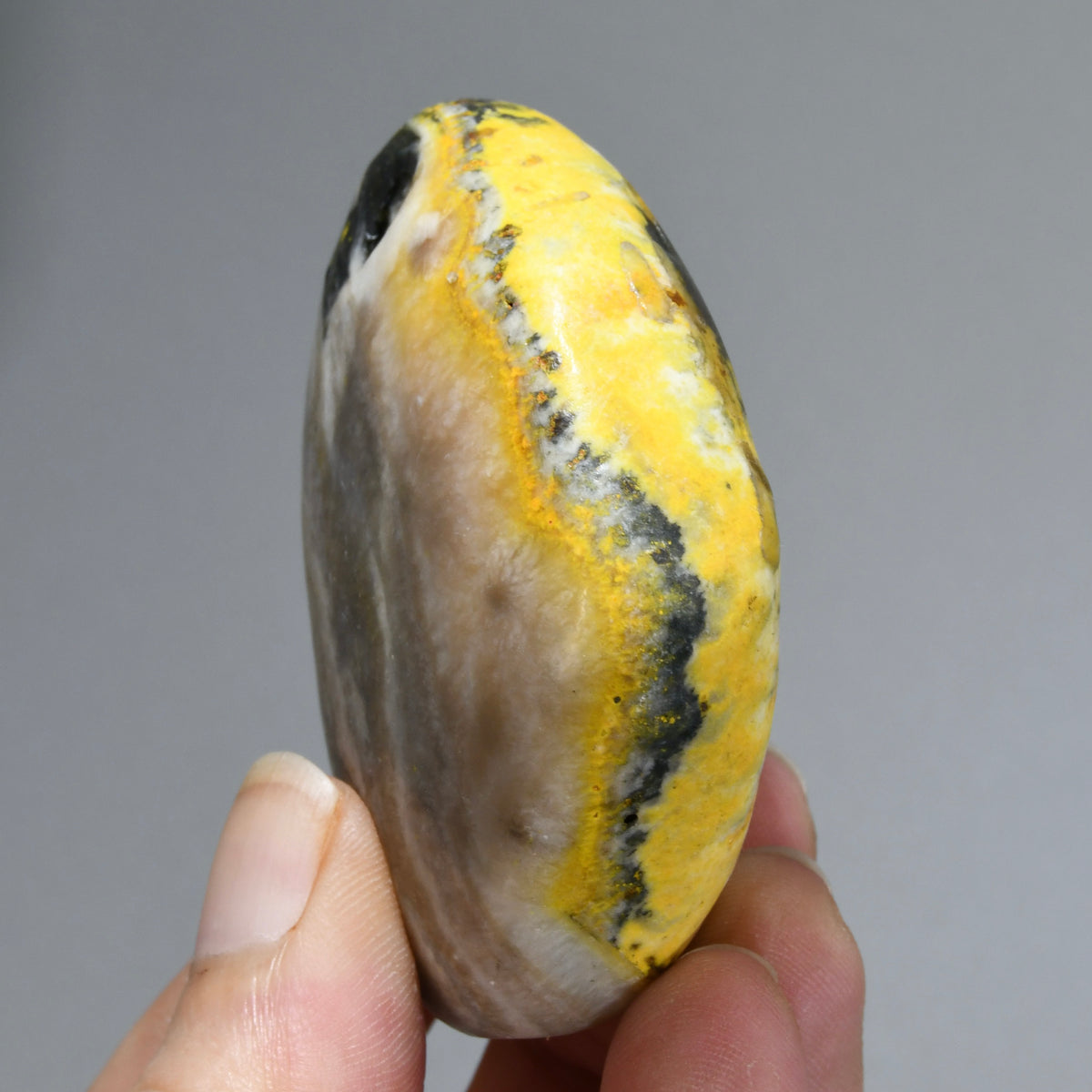 Bumblebee Jasper Crystal Palm Stone