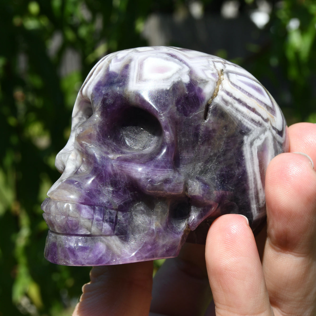 Chevron Dream Amethyst Crystal Skull