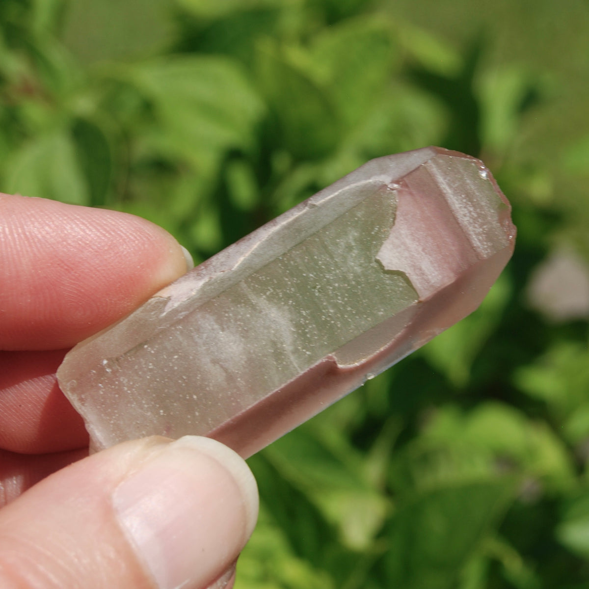 Pink Lithium Lemurian Quartz Crystal 