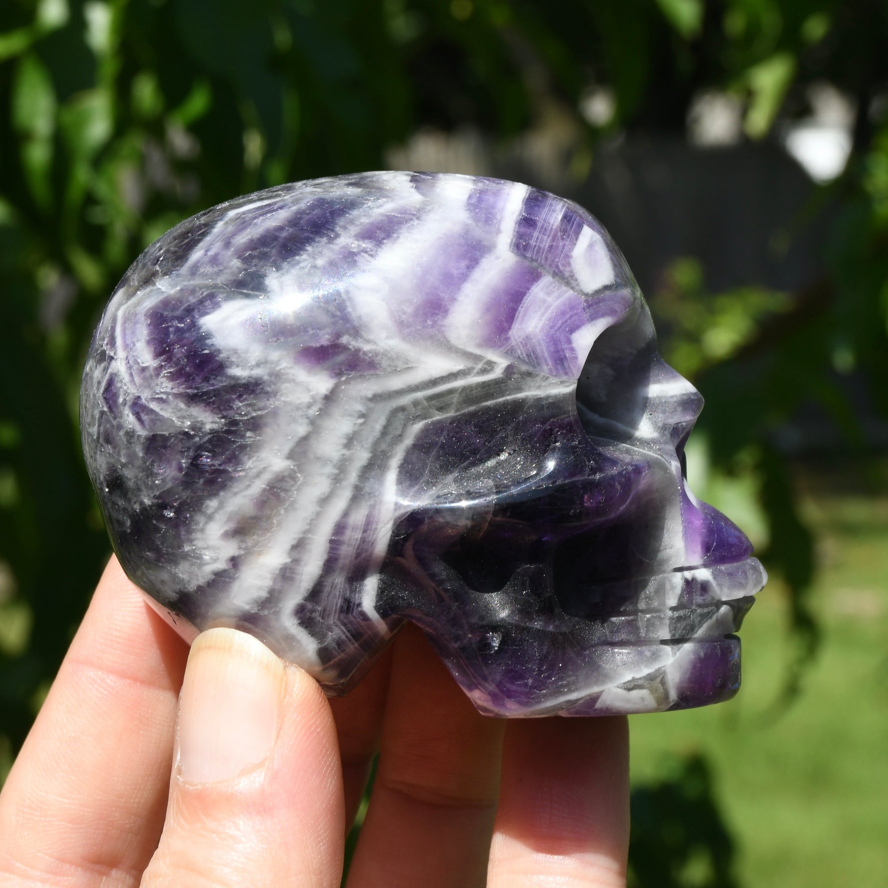Chevron Dream Amethyst Crystal Skull