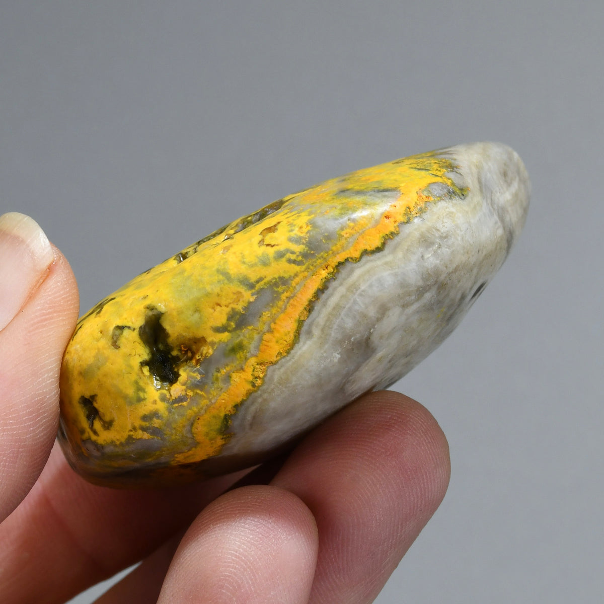 Bumblebee Jasper Crystal Palm Stone