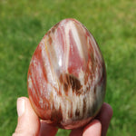Red Petrified Wood Egg, Madagascar