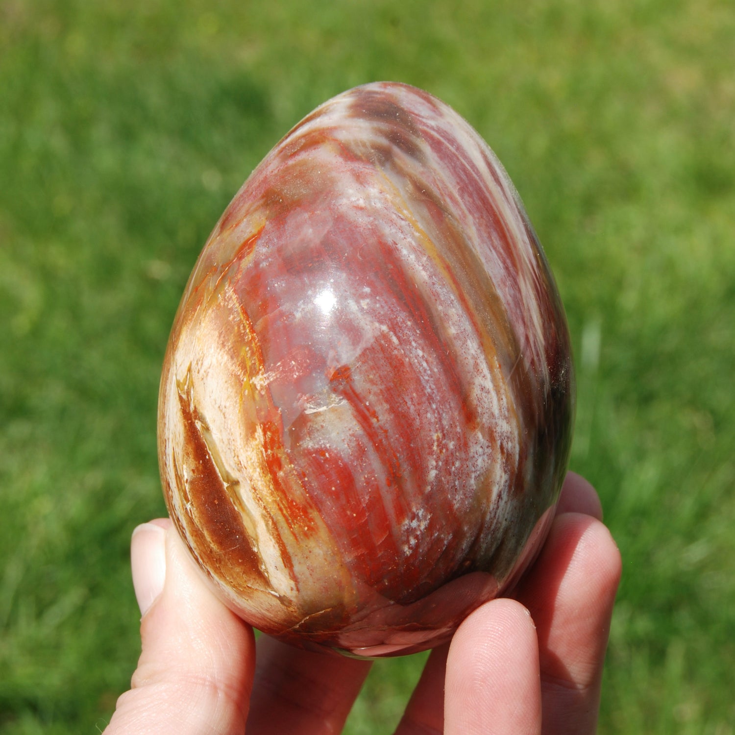 Red Petrified Wood Egg, Madagascar