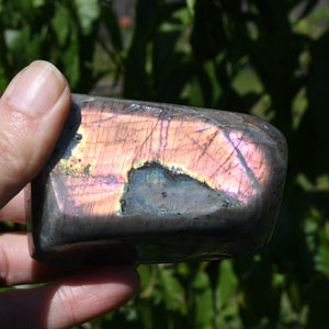 Purple Labradorite Crystal Freeform