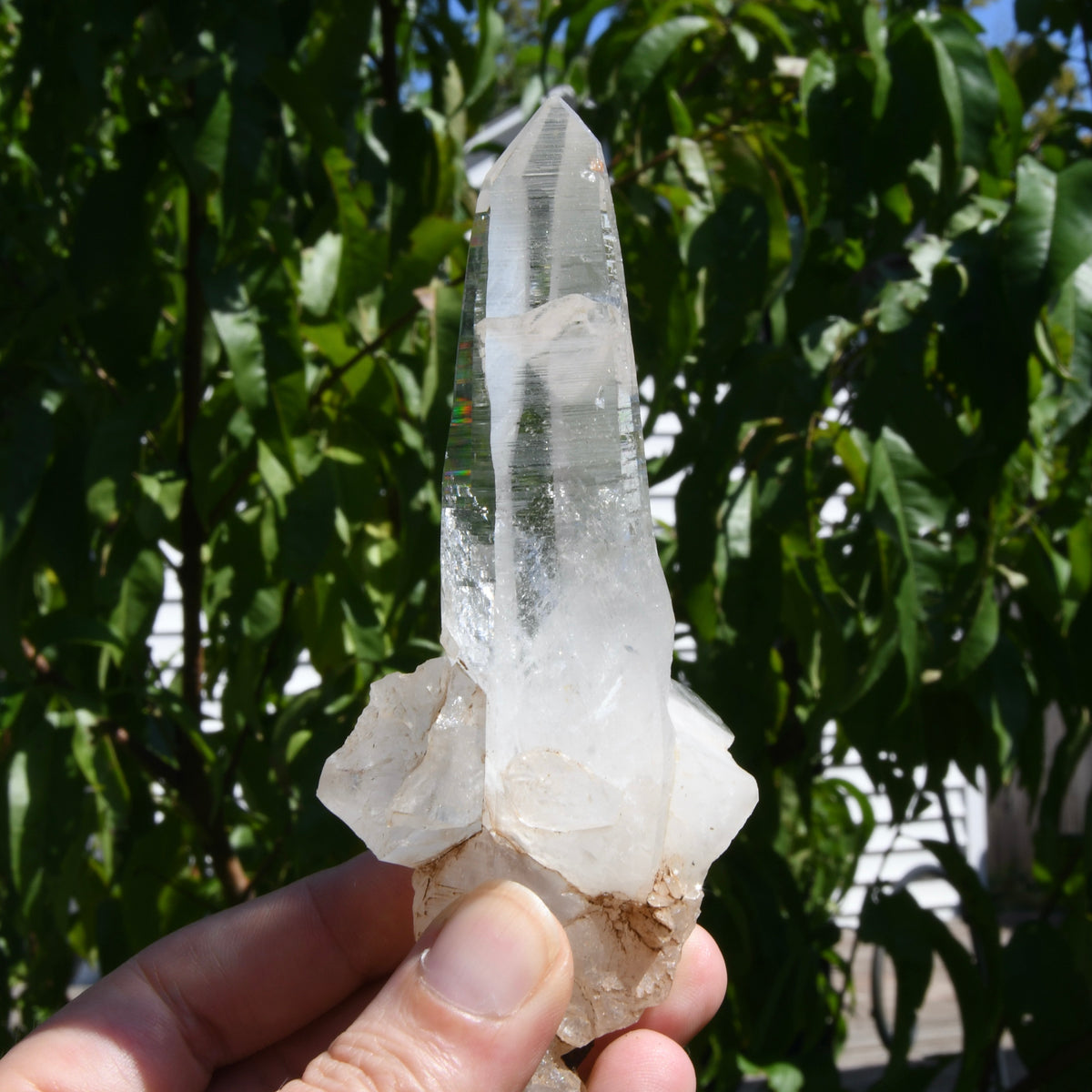 Rare Cross Colombian Lemurian Seed Quartz Crystal Laser Starbrary