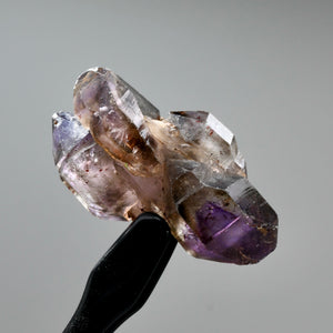 DT ET Elestial Shangaan Amethyst Quartz Crystal Scepter