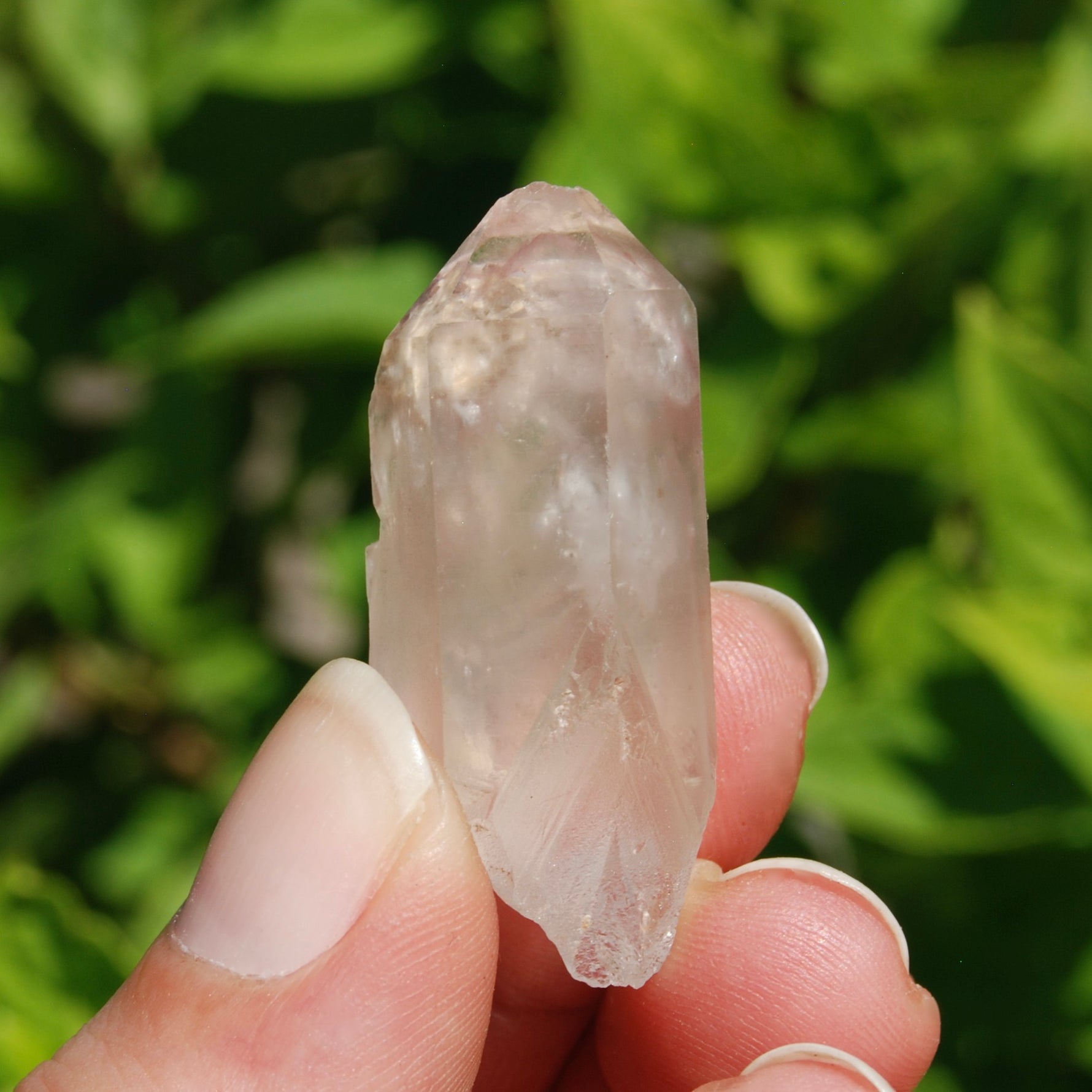 Pink Lithium Lemurian Quartz Crystal Starbrary