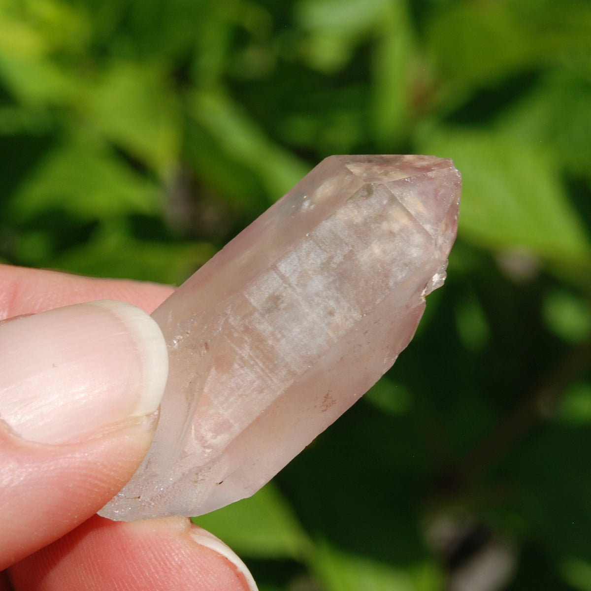Pink Lithium Lemurian Quartz Crystal Starbrary