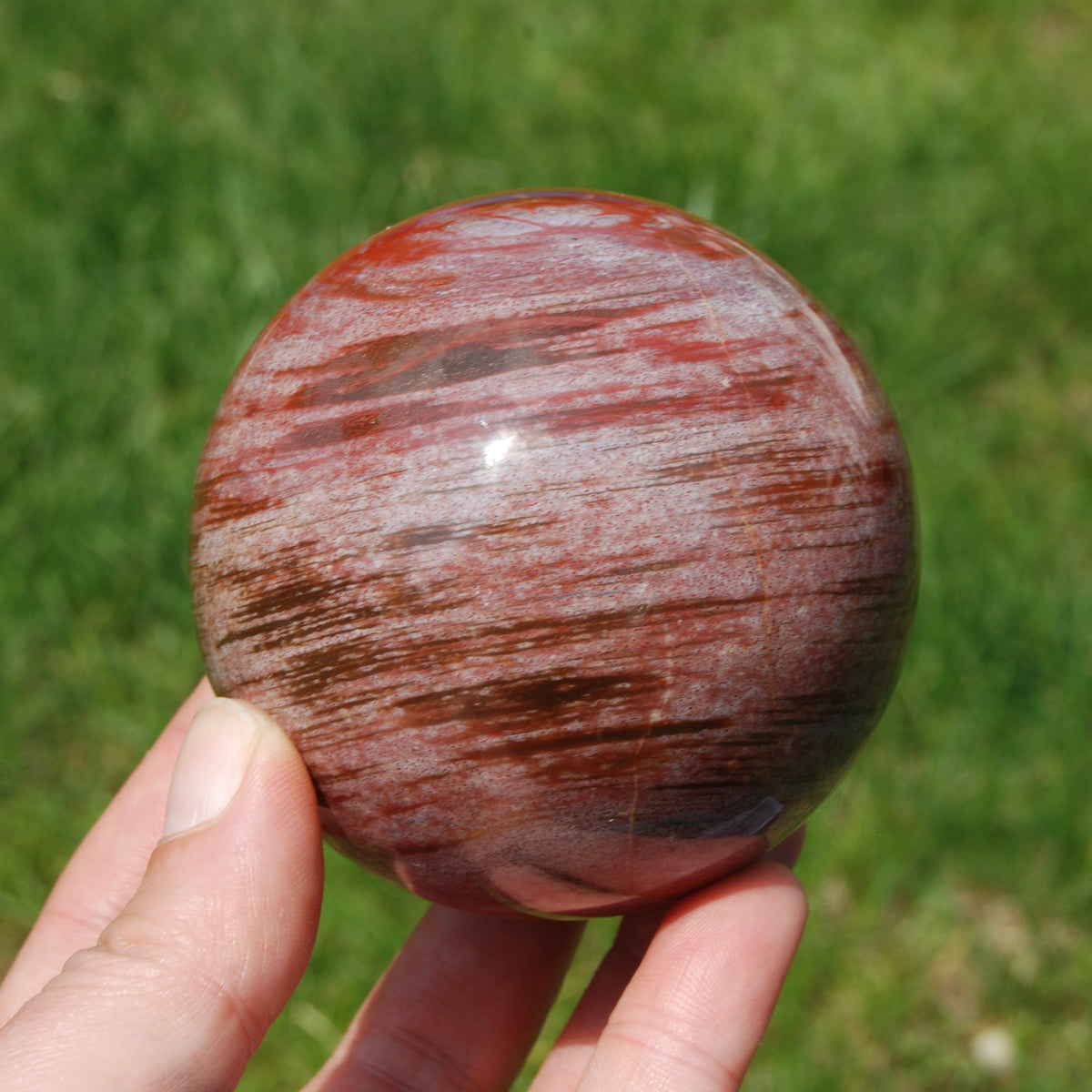 Colorful Petrified Wood Crystal Sphere