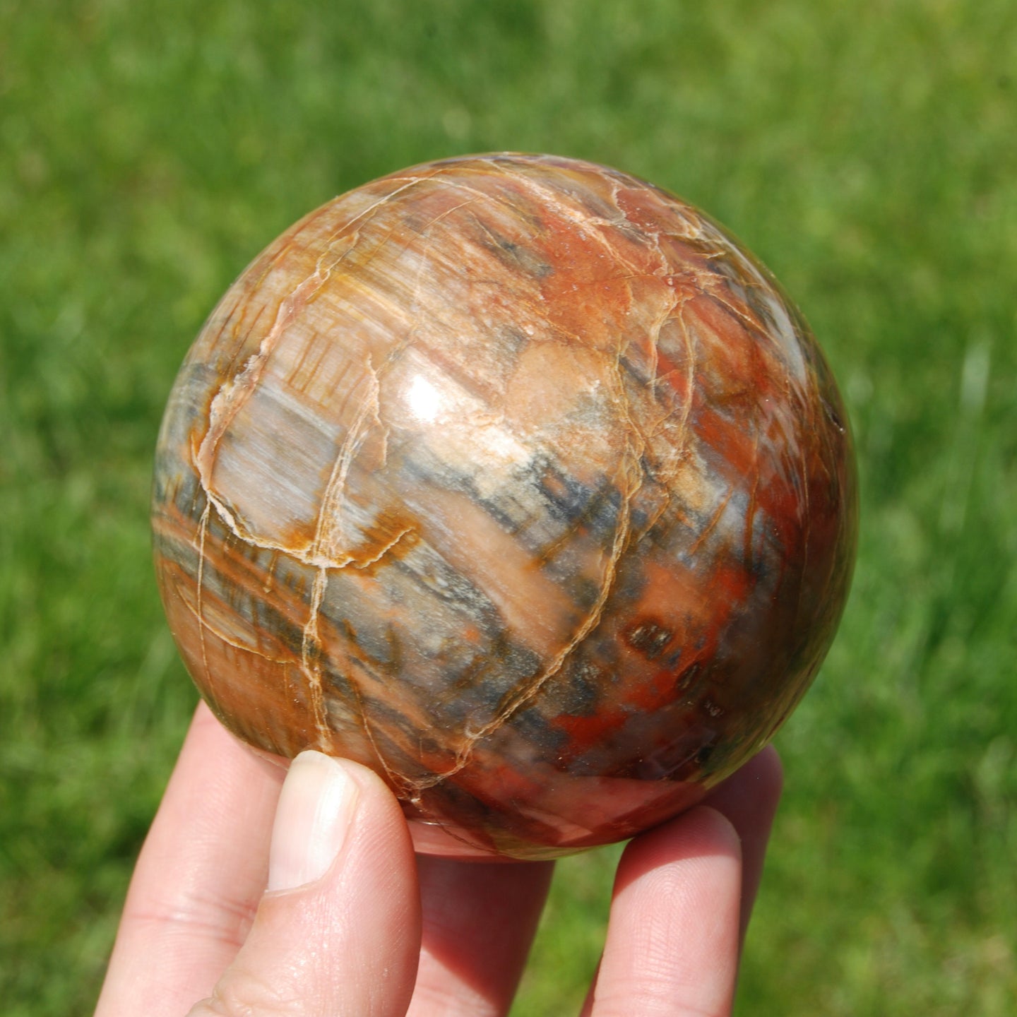 Petrified Wood Crystal Sphere